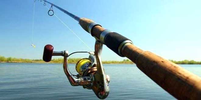 Как выбрать удочку для летней рыбалки – советы для начинающих
