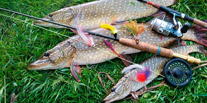 Распространенные виды рыболовных снастей для летней рыбалки